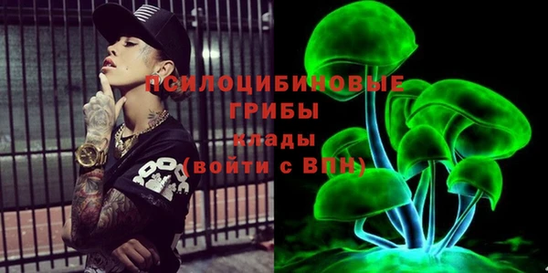 jwh Пересвет