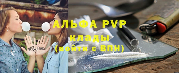jwh Пересвет