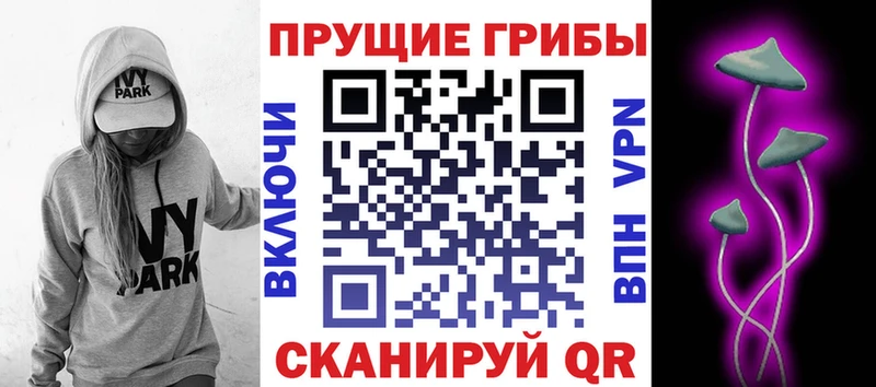 продажа наркотиков  Яранск  Галлюциногенные грибы Magic Shrooms 